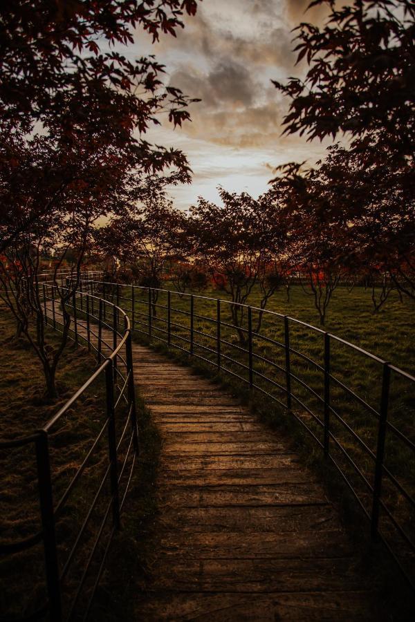 The Rudloe Near Bath - Marco Pierre White Ξενοδοχείο Corsham Εξωτερικό φωτογραφία